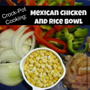 Crock pot cooking: Mexican Chicken and Rice Bowl