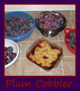 plum cobbler
